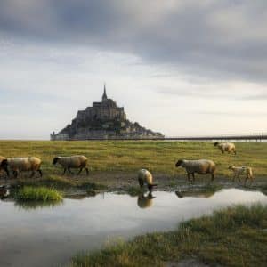 Paysage du Mont-Saint-Michel en Normandie – Fromentin Julien Photographie